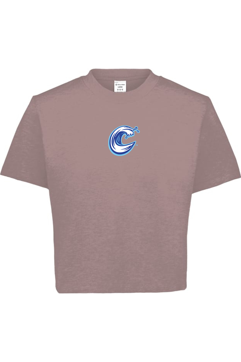 Carolina Coasters - Holloway Ladies Sidney Heavyweight Boxy Tee
