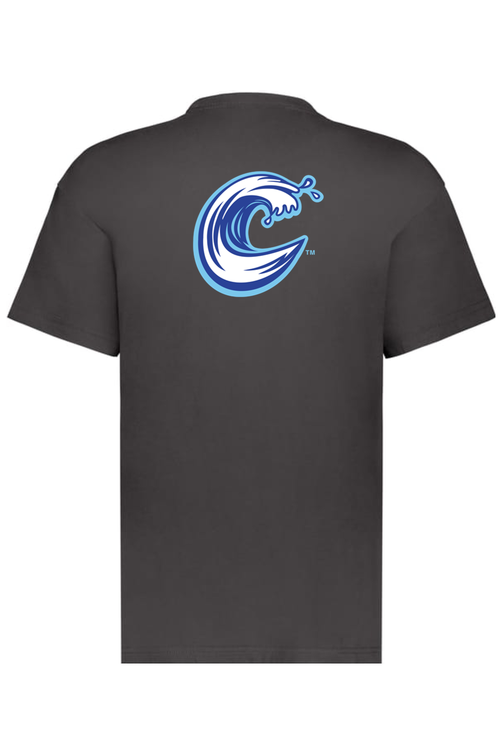 Carolina Coasters - Holloway Sidney Heavyweight Oversize Tee (Front & Back Print)