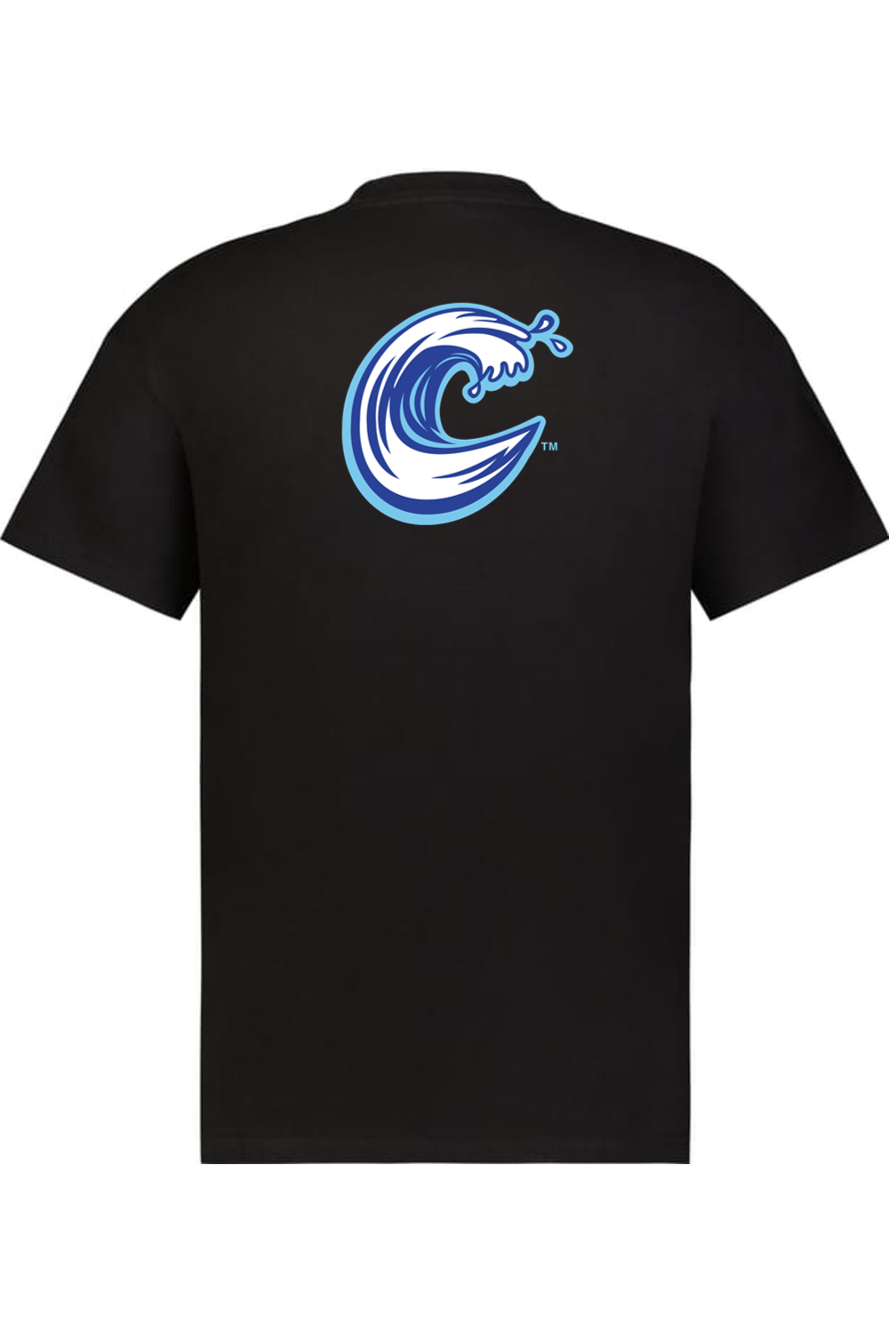 Carolina Coasters - Holloway Sidney Heavyweight Oversize Tee (Front & Back Print)