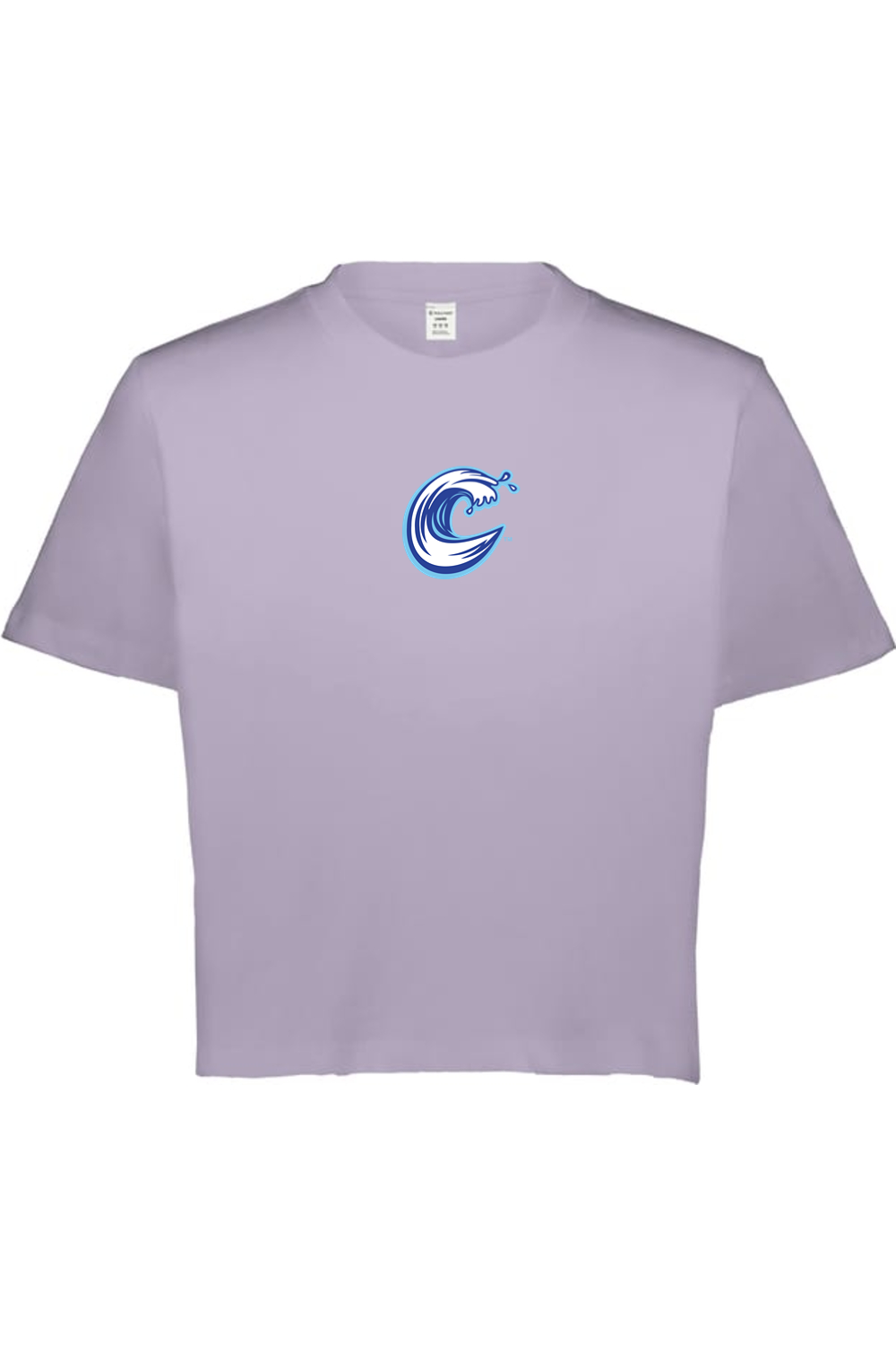 Carolina Coasters - Holloway Ladies Sidney Heavyweight Boxy Tee