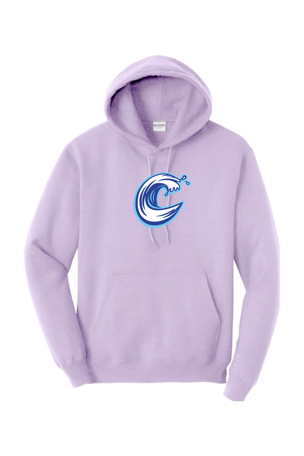 Carolina Coasters - Gildan Heavy Blend Hooded Sweatshirt