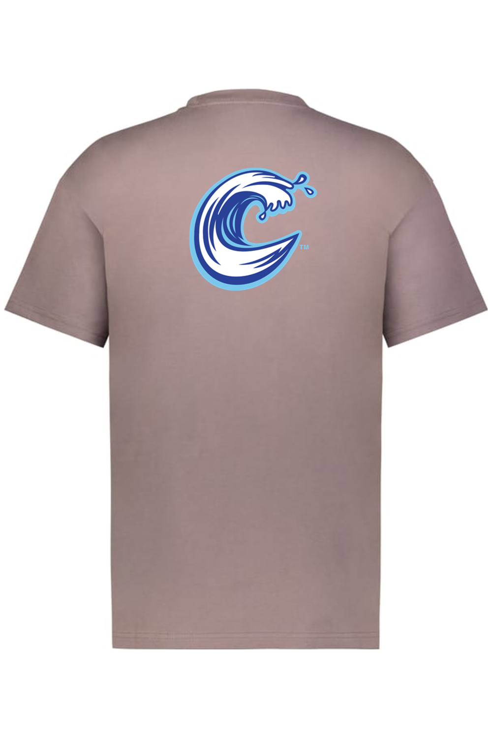 Carolina Coasters - Holloway Sidney Heavyweight Oversize Tee (Front & Back Print)