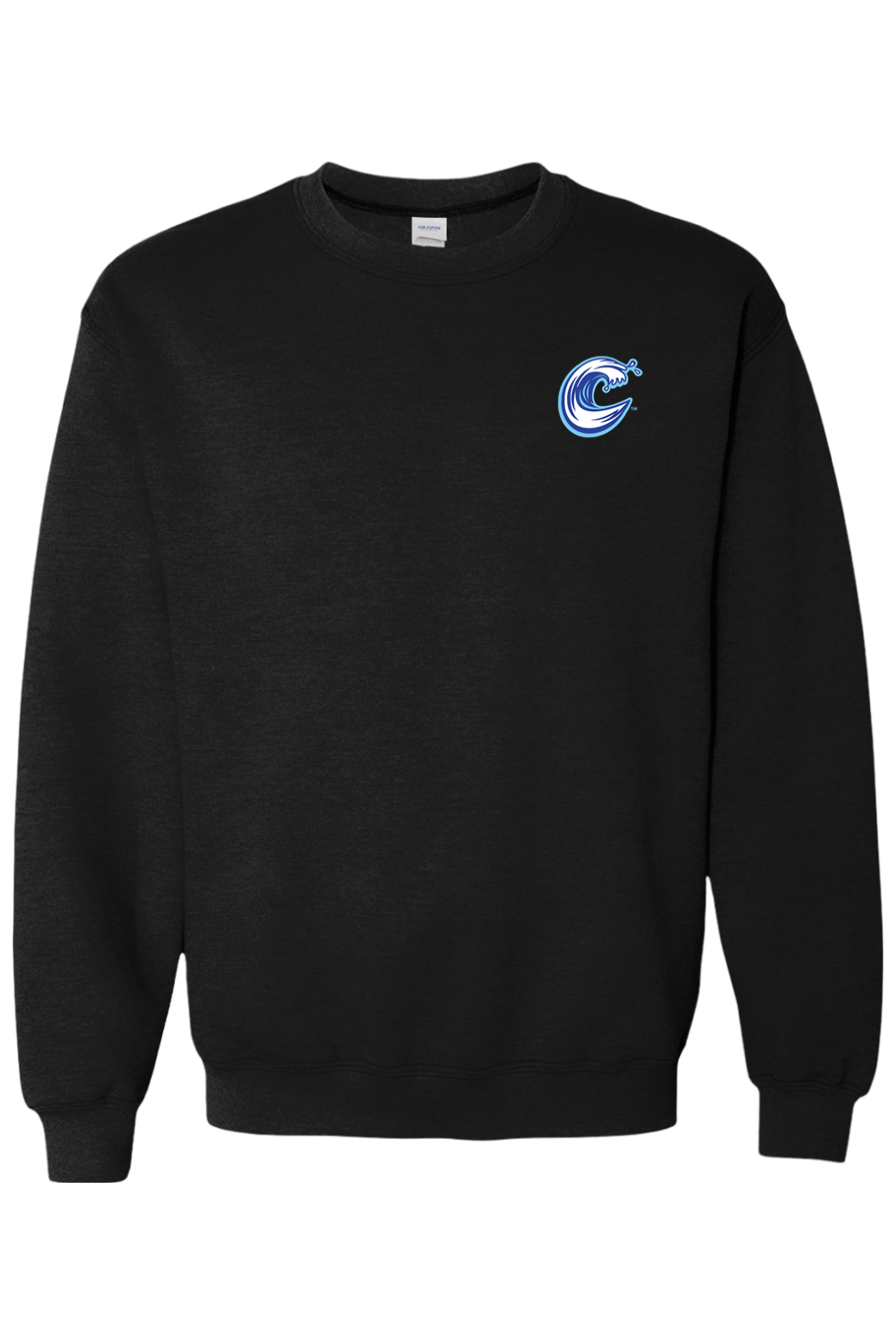 Carolina Coasters - Gildan Heavy Blend Crewneck Sweatshirt