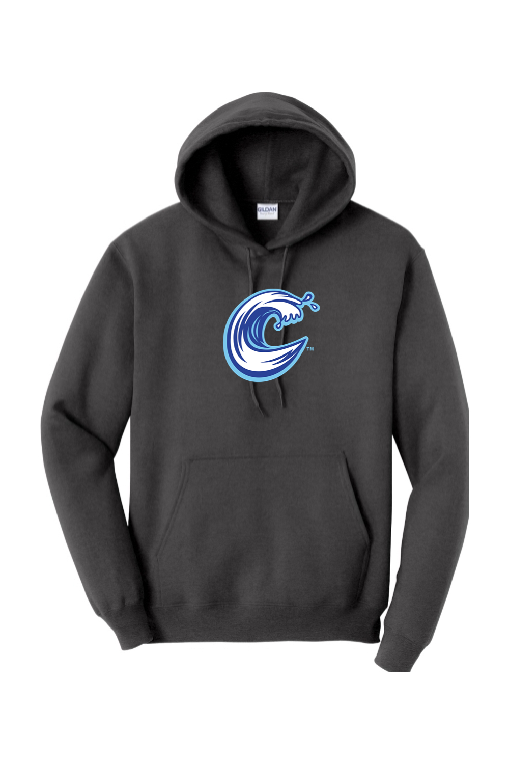 Carolina Coasters - Gildan Heavy Blend Hooded Sweatshirt