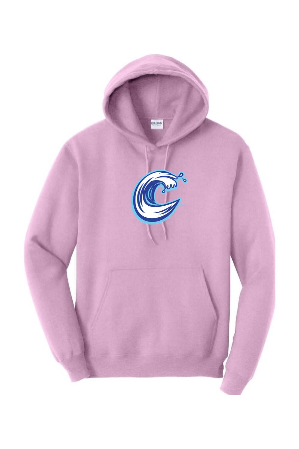 Carolina Coasters - Gildan Heavy Blend Hooded Sweatshirt