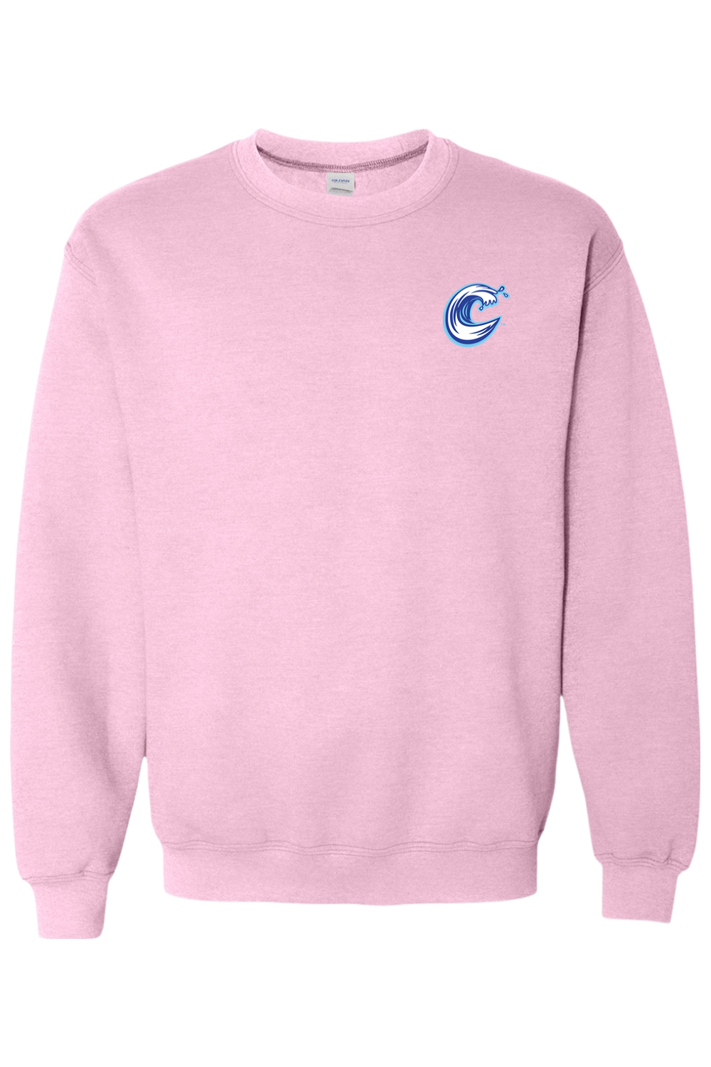Carolina Coasters - Gildan Heavy Blend Crewneck Sweatshirt