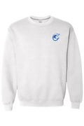 Carolina Coasters - Gildan Heavy Blend Crewneck Sweatshirt