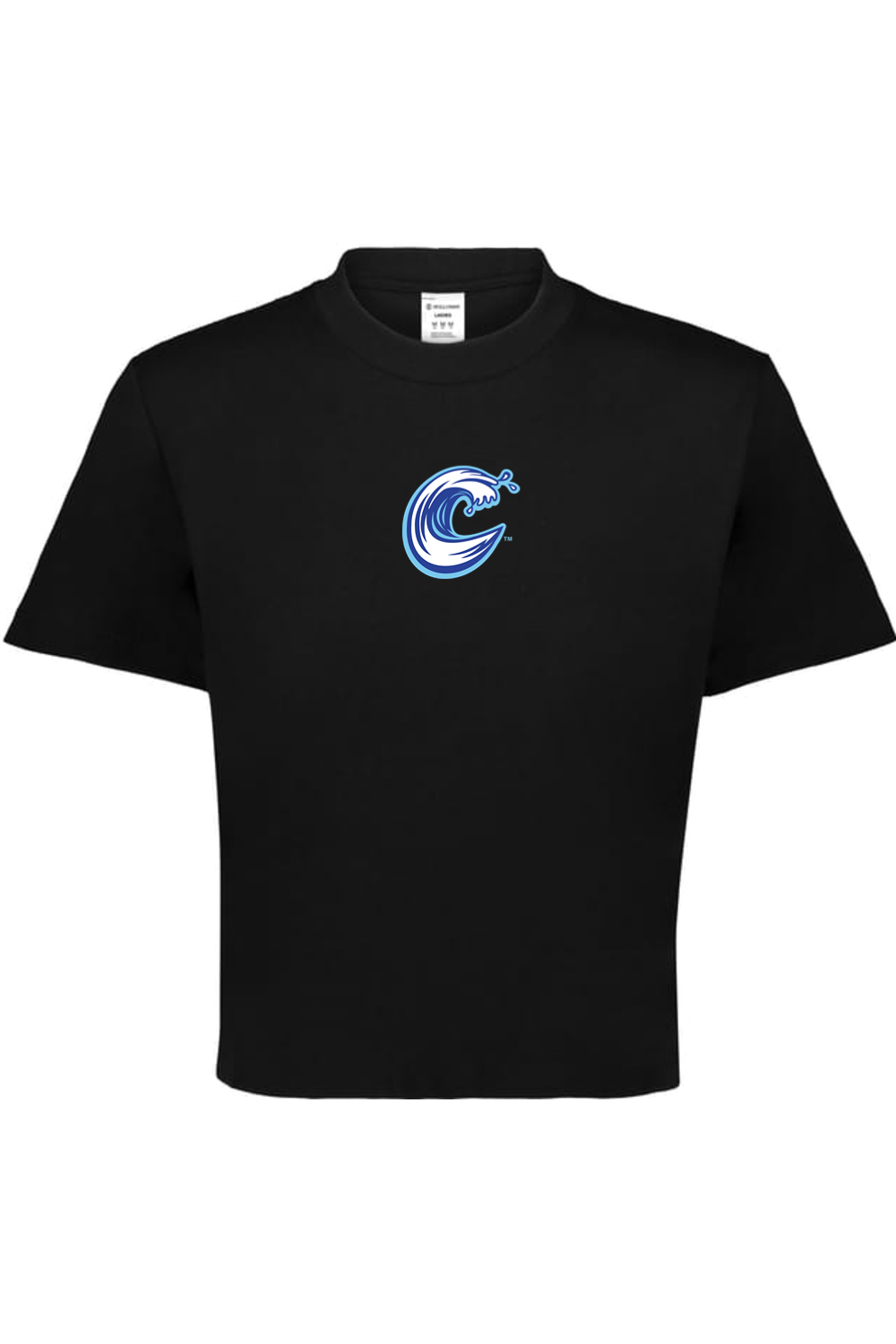 Carolina Coasters - Holloway Ladies Sidney Heavyweight Boxy Tee