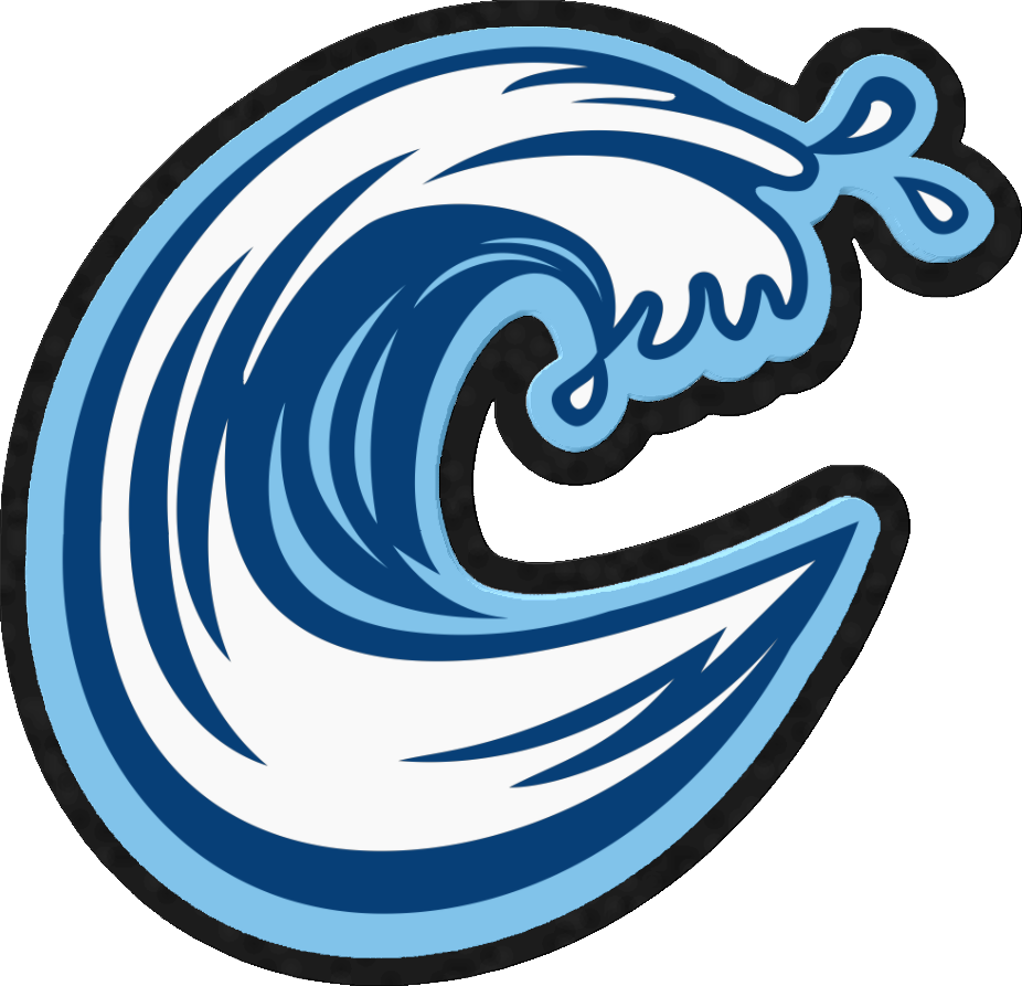 Carolina Coasters - Richardson Vintage Snapback Cap